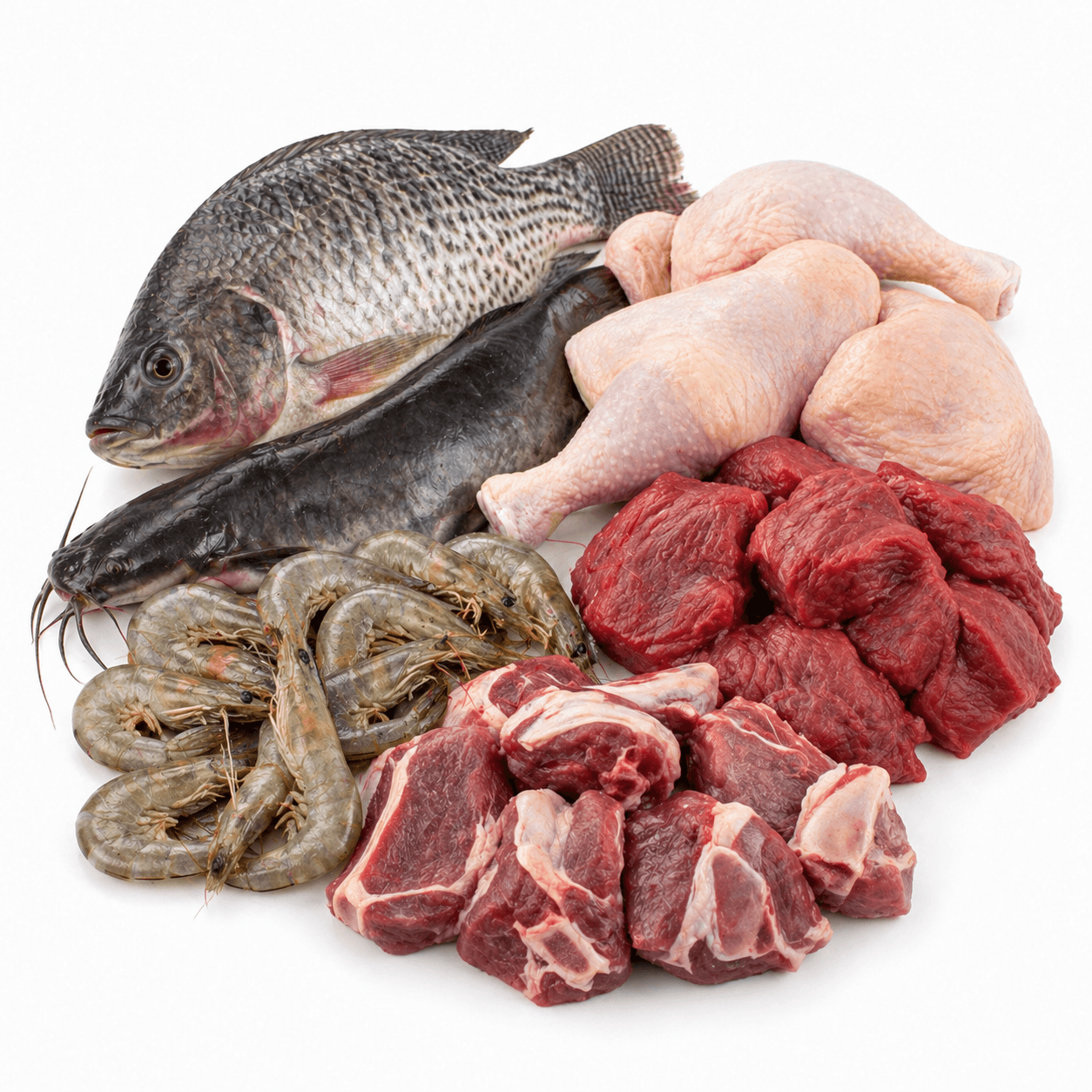 Meat & Fish